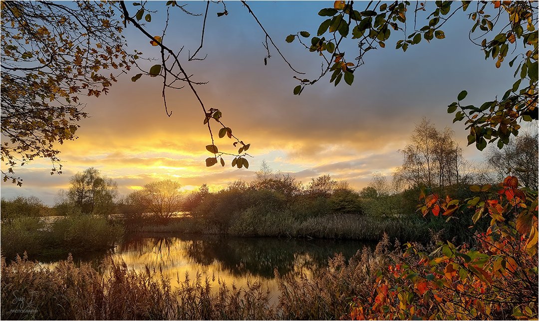 Glorious #sunset over #penningtonflash 

#MondayMotivation #itsgrimupnorth 
#solitude #lake #sooc
#landscapephotography
#sheclicksnet #TwitterNatureCommunity

@ThePhotoHour  @AP_Magazine @MyWiganUK
@MENnewsdesk @NearbyWild

linktr.ee/Suzishaw