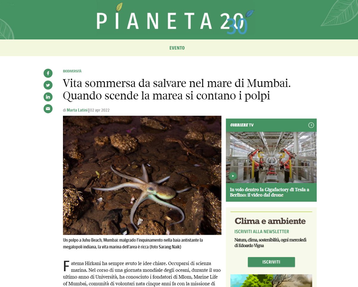 Marine Life of Mumbai tweet media