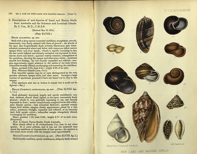ZSL Library tweet media