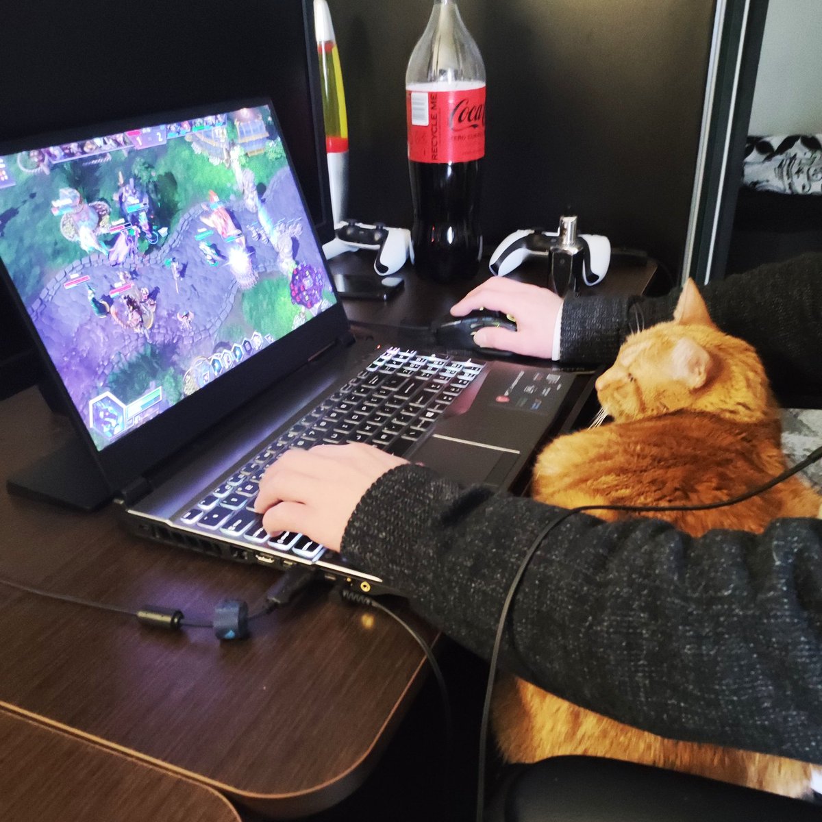 funnyrmcon's tweet photo. my cat is always watching when i play #heroesofthestorm #hots #games #cat https://t.co/j1FQSYvmAU