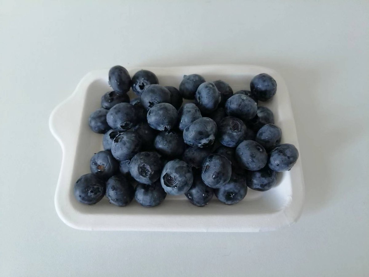 Using bagasse sugacane pulp cake tray for fruit also works well.
#healthy
#biodegradable #compostablepackaging 
#fruitcontainer
#environmentallyfriendly #ecofriendlyproduct #plasticfree 
#planetfriendly #cake #foodcontainer
