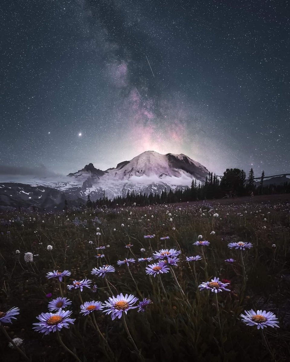 OfficialEarth_'s tweet photo. Washington 🌼
📸 @ryanditchphoto

#Earth #Nature #HomePlanetEarth https://t.co/jarZb2UGR0