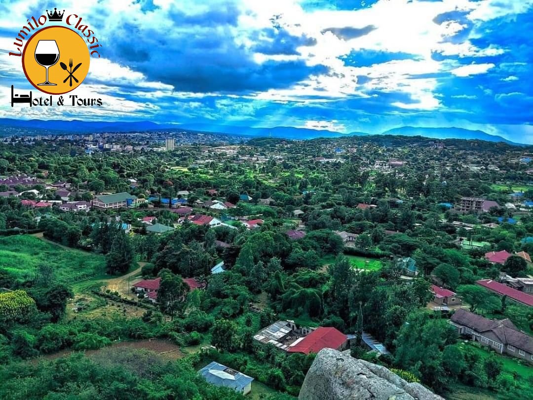 LumiloH's tweet photo. Iringa is green.

Kwanini unaipenda Iringa?

Comment fupifupi jamani.

Follow 👉 @lumilohoteltz
Follow 👉 @lumilohoteltz
.
.
.
.
.
#Iringa #thebesthoteliniringa #hotelborandaniyairinga #thebestresortiniringa #theclassichoteliniringa #iringahotel #hoteliringa https://t.co/iSoaZp2XLB