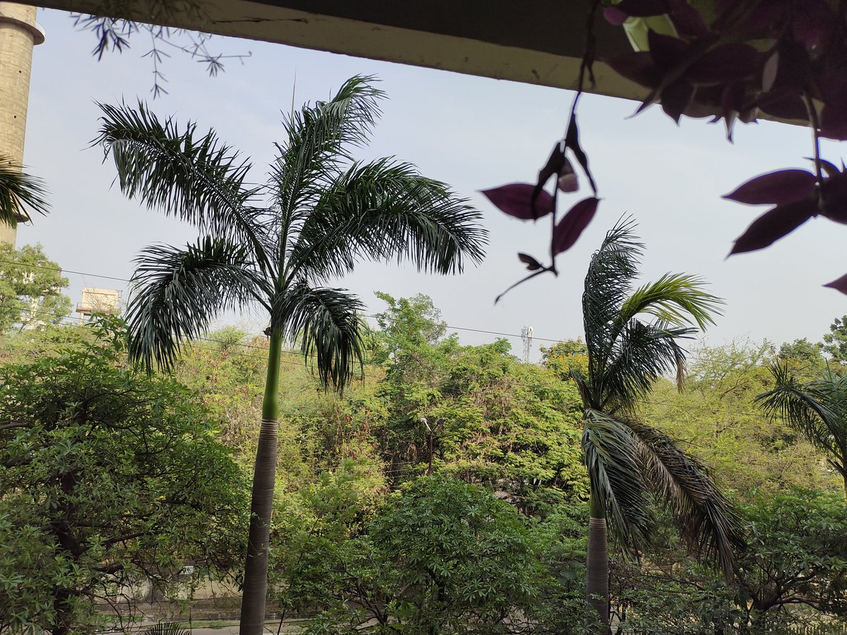 birajakabi's tweet photo. Monday morning with lots of hope and positive energy.
Wish u all a fruitful week ahead!
#LoveForHandloom #KosaSilkChhattisgarh #PositiveThoughts https://t.co/gy5sPSpHeq