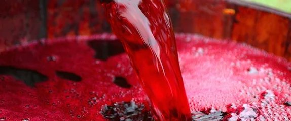 wineworldnews's tweet image. We Need to Talk About Wine Faults bit.ly/3rerWn6 from @WineSearcher #wine #winefaults #winemaking #winemaker @amylieberfarb @Dracaenawines @RandallGrahm @DonnafugataWine @winewankers @damewine @LizPalmer_Wine @LauraCatena @LizGabayMW @janeansonwine @RoebuckSteve1