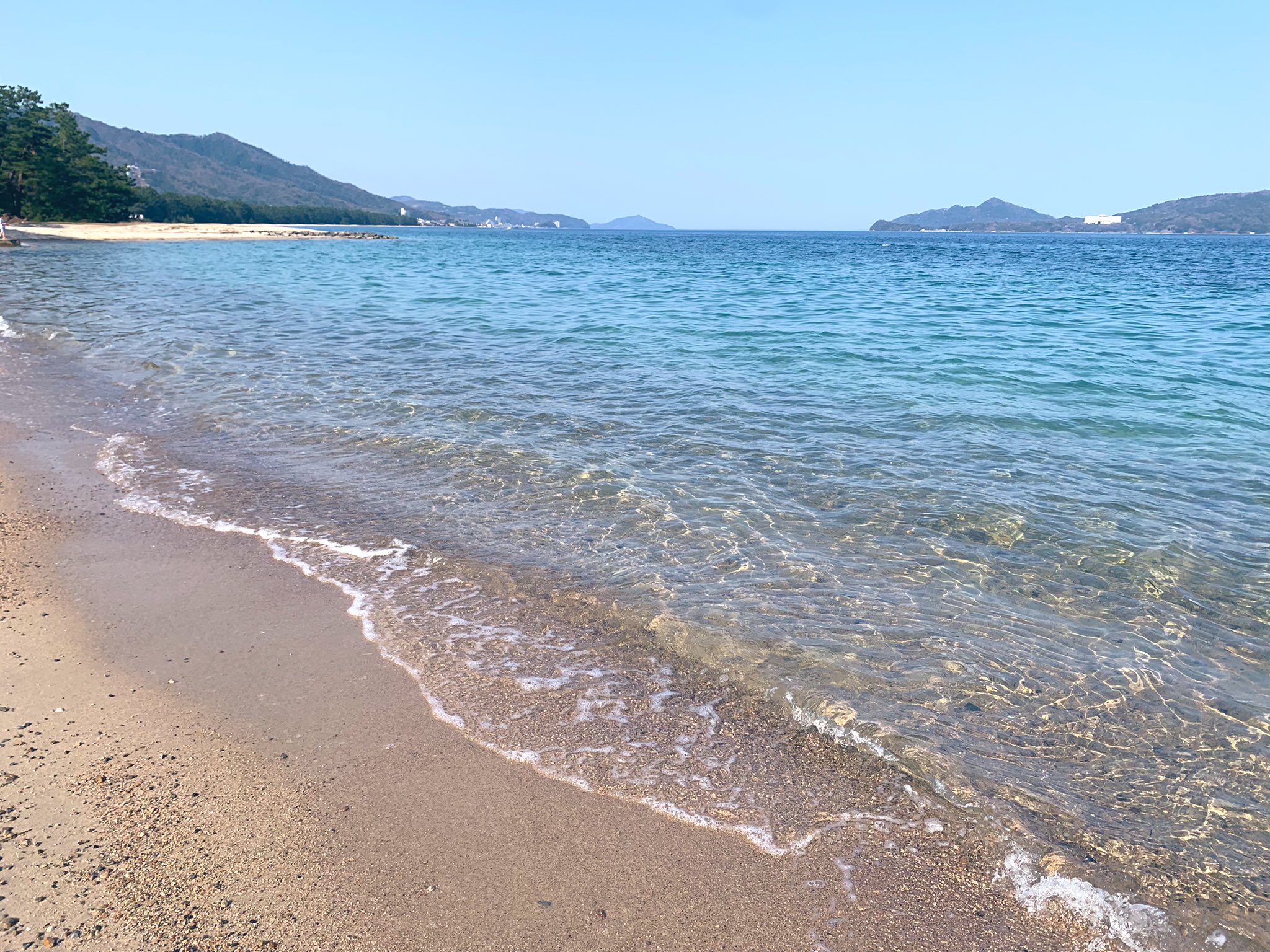 かよたん ㅂ 天橋立に いってきた ㅂ 海キレイ ˆᴘˆ 桜 満開でした あとiphoneのデータ 全部消えて ここ2年分くらいの写真とか色々 なくなった ㅂ 化石博物館の写真とか まだ載せてなかったのにいい ぅぅ ピカチュウの