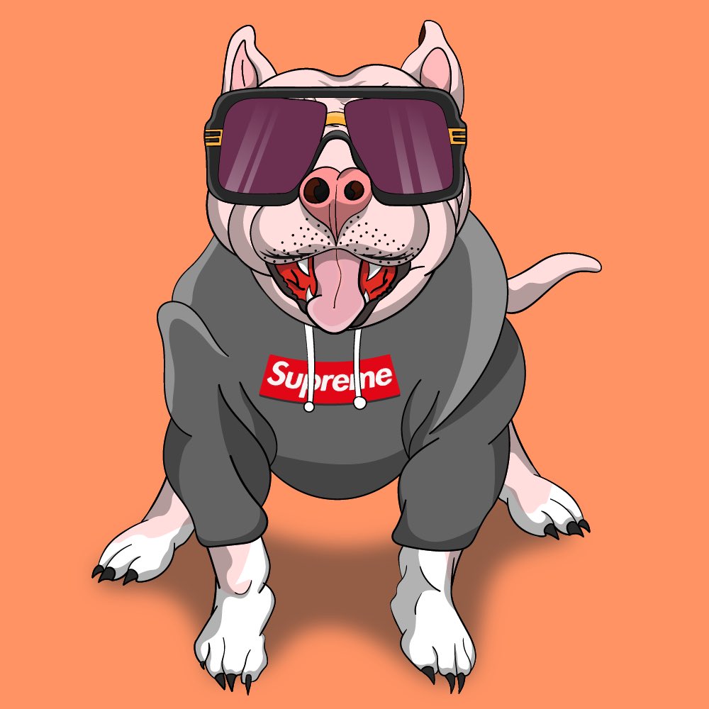 PocketbullyPBYC's tweet photo. https://t.co/Nnnv7QZPPD