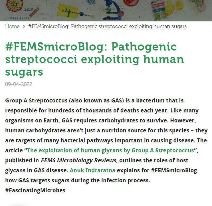 Anuk_Indra's tweet photo. My review on Group A Strep and human glycans won Publication of the Month! 
We have also been featured in #FEMSmicroBlog. A succinct and hopefully informative synopsis of the review.
https://t.co/sQilRuajr8 https://t.co/1jFSBcZusZ