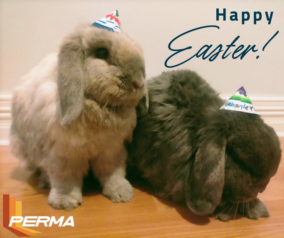 PermaStruct's tweet image. From everyone at Perma Composites®, we wish you a happy and safe Easter spending time with loved ones. During this festive break, we will be closing our offices from Friday the 15th until Tuesday the 19th. 🐇🐥🐣 #easter #permacomposites #permatimber #quickboard #permastruct