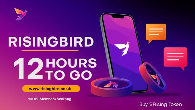risingbirdtoken's tweet photo. RISING BIRD FAIR LAUNCH https://t.co/cP0Kc0Gmef