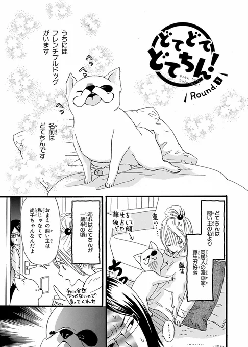 【ペットエッセイまんが】
『愛犬が、私を愛してくれません。どてどてどてちん!』
フレンチブルドッグのどてちんと同居人藤生との二人と一匹生活を描いた愛と笑いの一冊です👩🐶👩
#ペットの日 #コミックエッセイ #エッセイ漫画

① 