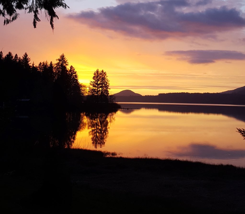 Forest Service NW tweet media