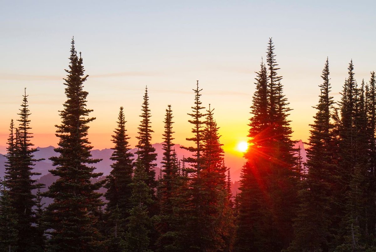 Forest Service NW tweet media