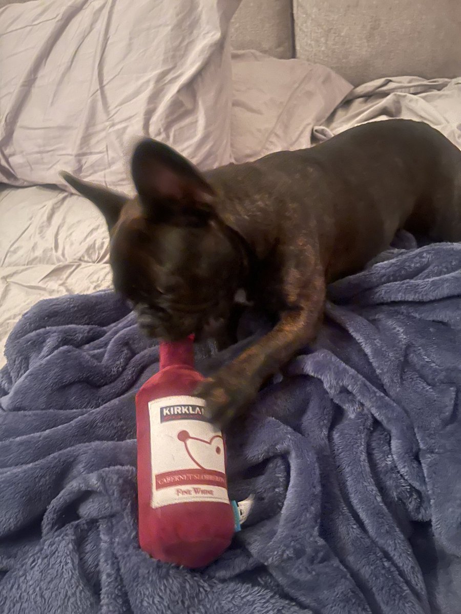 elizabetchy's tweet photo. Watching @mayahiga and @qtcinderella #WineAboutIt on @Twitch looks like Louis Vuitton had a few too many! https://t.co/RnjFUJLp7q