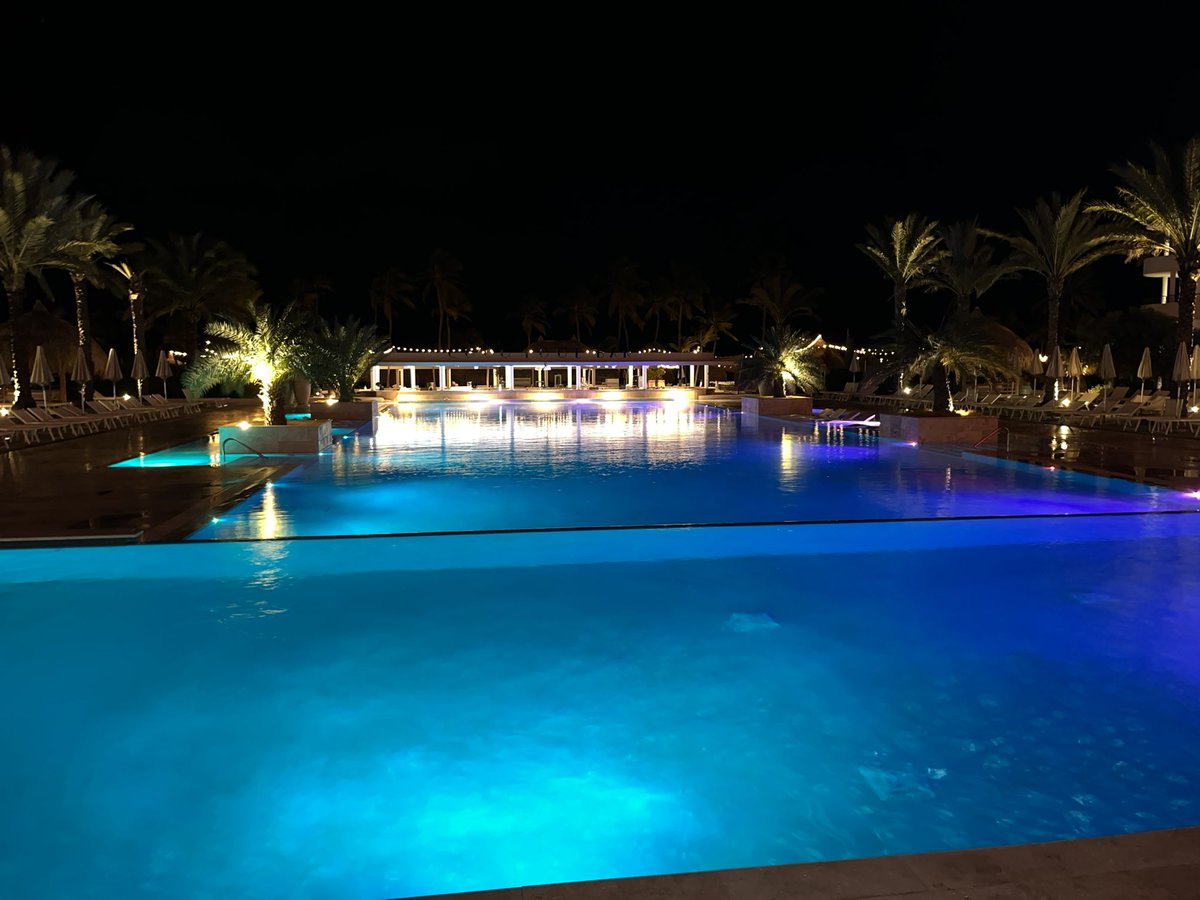 NfThypedmaker's tweet photo. Living the life you live❤️
Curaçao it is ✅ https://t.co/9k10DxyptU