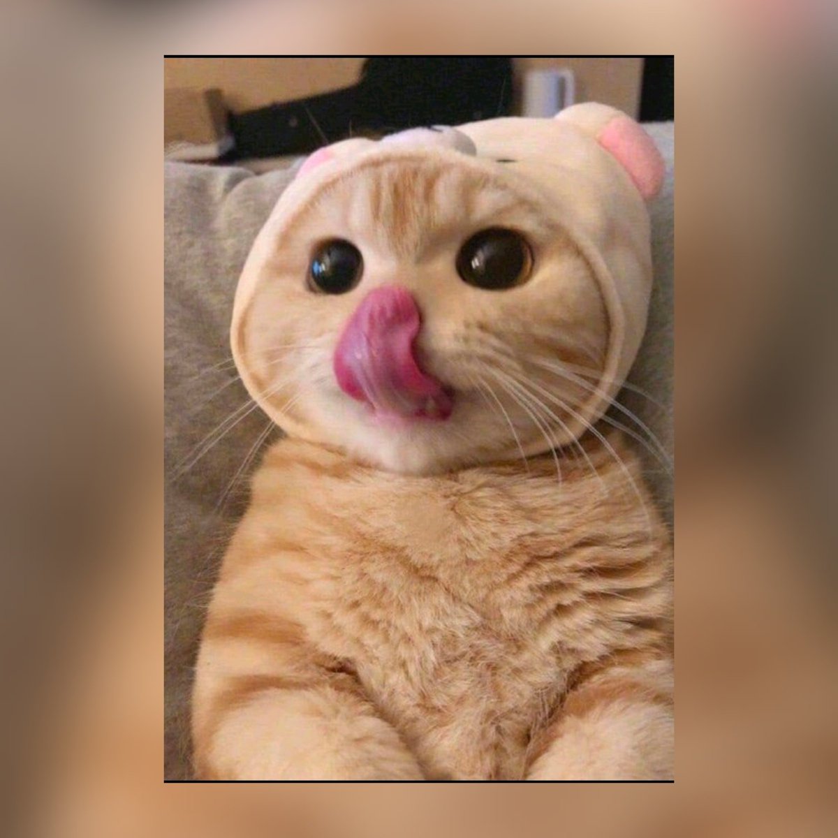Nong Nong tweet media