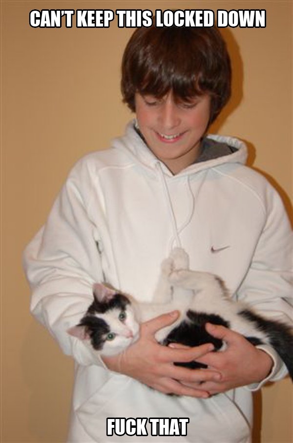 cat_grips's tweet image. 