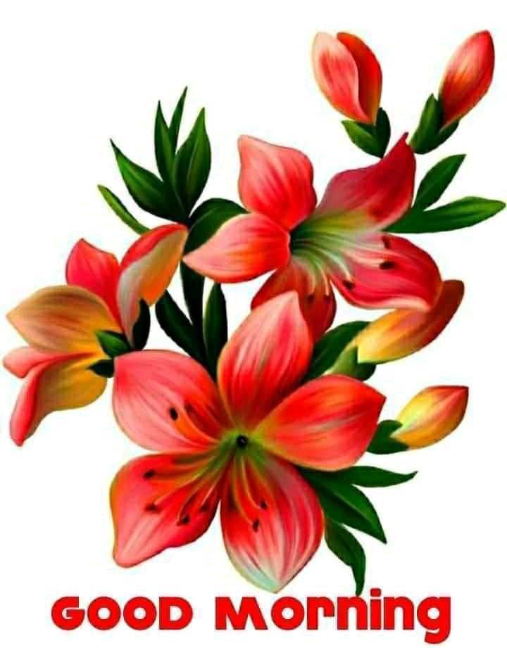 #GoodMorningTwitterWorld 
#GoodMorningEveryone 
#goodmorning
#Twitter 
#TwitterFriends 
For the kind attention to my Friends, Brothers and Sisters:
Before I say Goodbye from Twitter
I would like to share my feelings and bitter experiences to you.🙏🙏