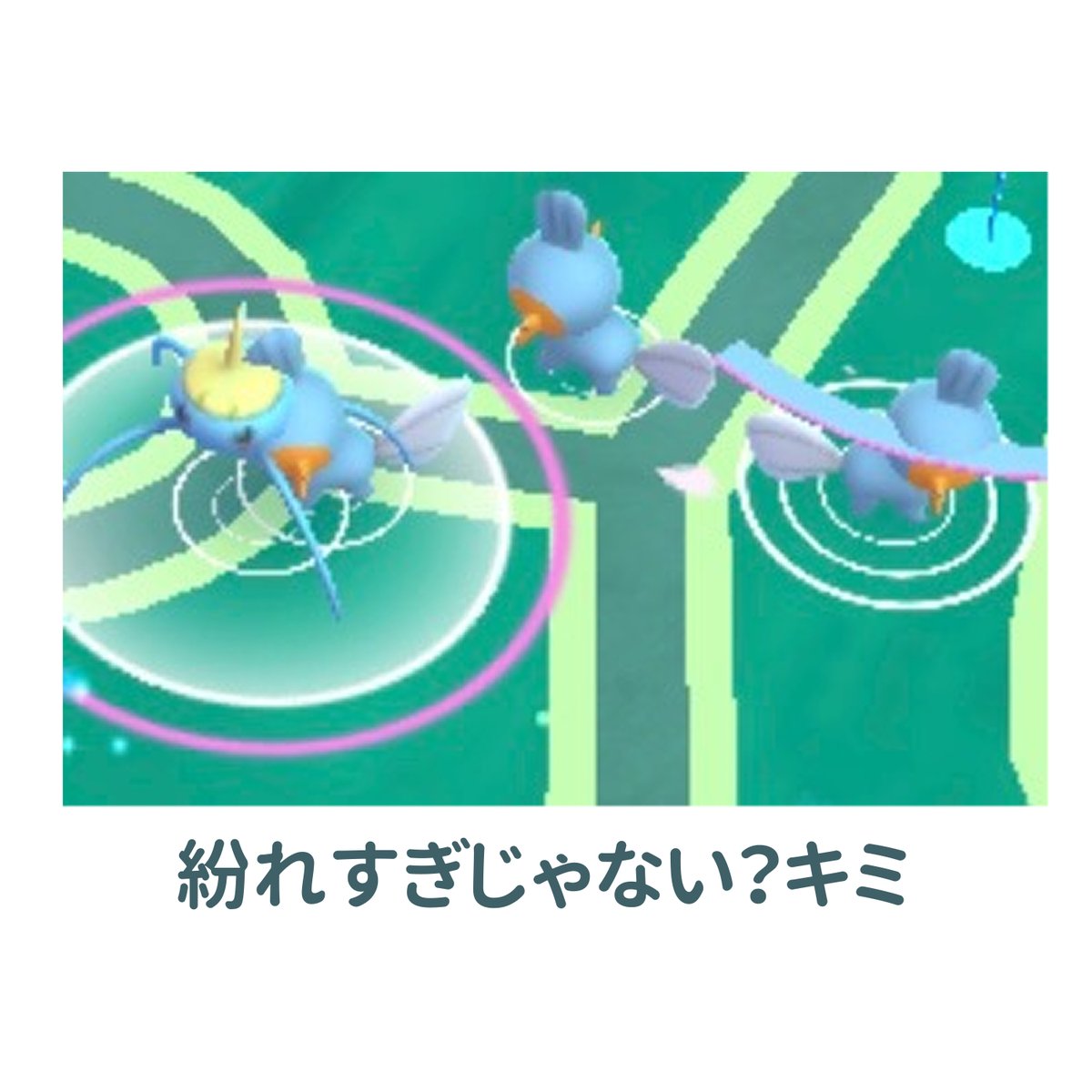 昨日のコミュデイ楽しかったね日記(ぽけごのファンアート ラランテスちゃんは一緒に歩いた相棒です)

大量のミズゴロウにアメタマ混じっててわろた 