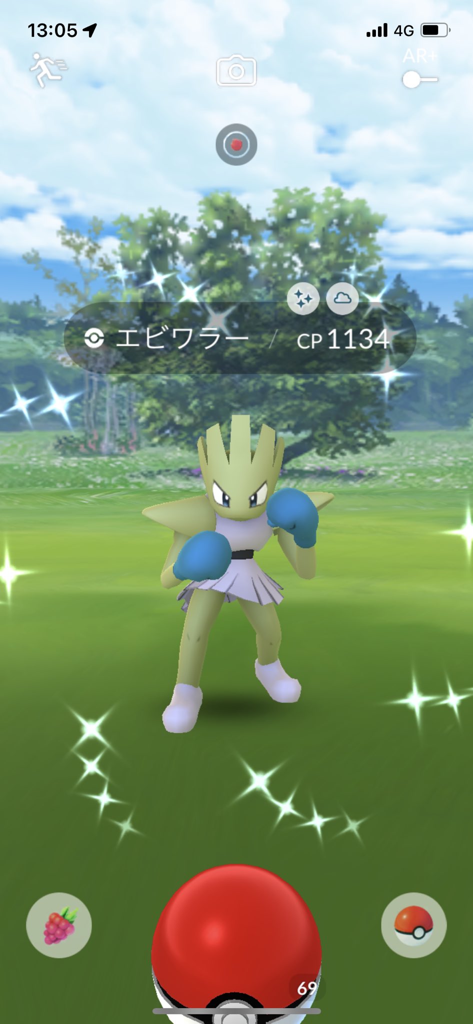りん ポケモンgo エビワラーの色違いきた エビワラー色違い ポケモンgo T Co Jgkcgn1ecs Twitter