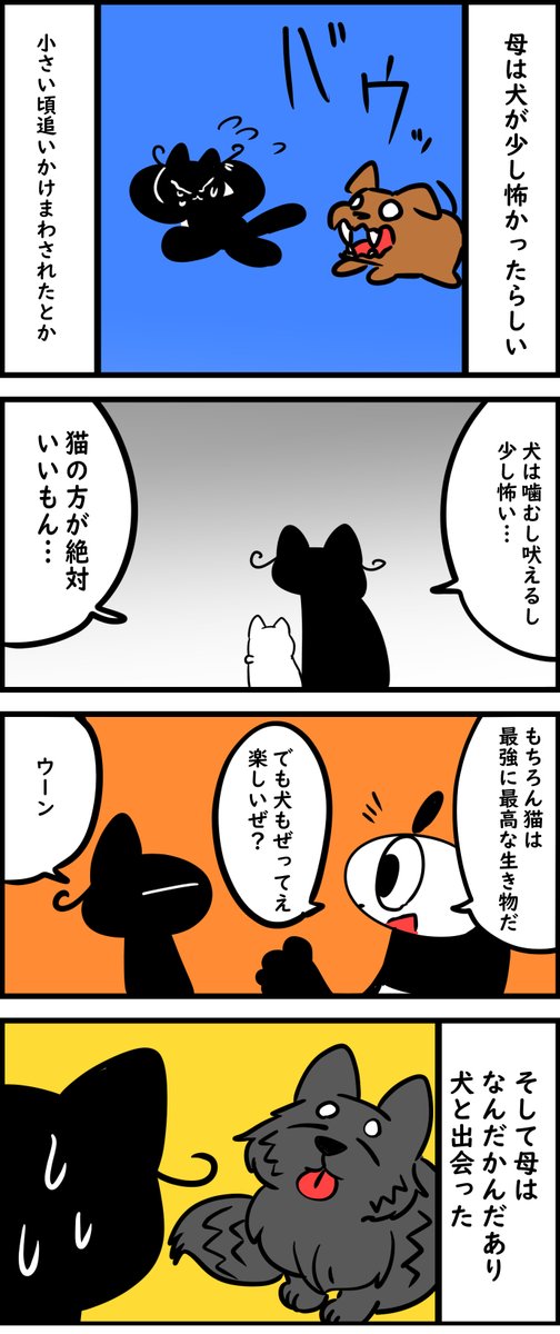犬が嫌いだった母 人間を愛しすぎる犬

今日のブログ!
犬も猫も素敵な生き物だね
https://t.co/3MeIskqXgA 