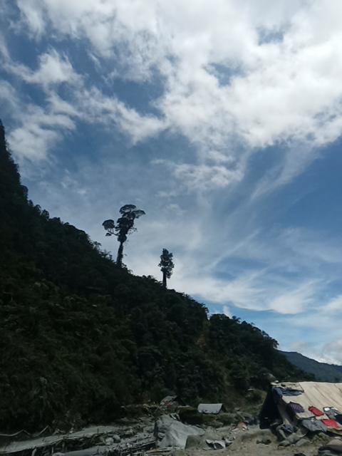 AmanahWaker's tweet photo. @Erotimika4 Minggo https://t.co/nrELQetFQ9