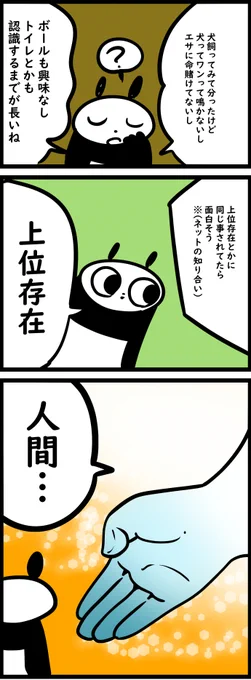 犬と人間と上位存在君
今日のブログ!

https://t.co/tP0dTsxiVh 
