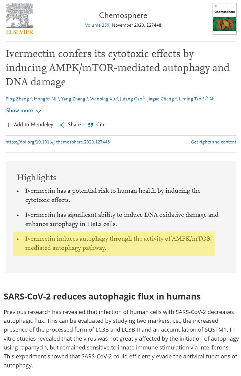 Parsifaler's tweet photo. I think what may be key is to destroy the spike before it can 1) cause severe disease and/or 2) induce impairment of DNA Repair. Autophagy allows the body to clear infected cells. IvM induces Autophagy. 

mTOR as friend, not foe.

https://t.co/VA9NpM3LoY

https://t.co/6qHvdHpScO https://t.co/BlrnWOEM0V
