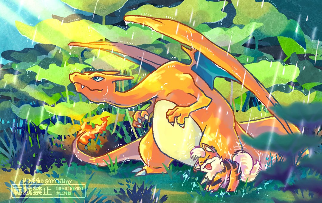 charizard pokemon (creature) flame-tipped tail no humans fire claws grass outdoors  illustration images
