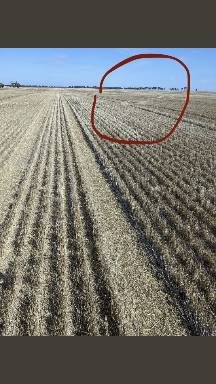 Kyle Pearse on Twitter "TRethus Also, what’s this? Rogue chaser bin