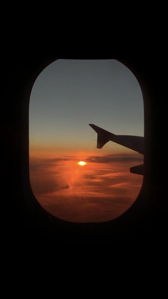nacoio's tweet photo. 🛫🏝 https://t.co/bpetXWg6pT