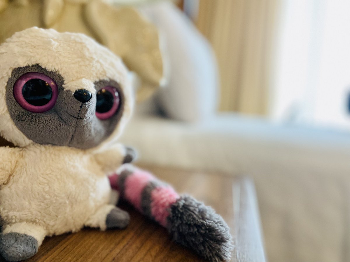 Day 2 - travel day…still

Barney’s finally arrived! Clues for today:
- it took a total of 39 hours from door to door,
- English is not the 1st language,
- the elephant lamp is the only elephant she’s seen…so far 

Barney needs some rest now. I can’t wait 4 her 1st day exploring