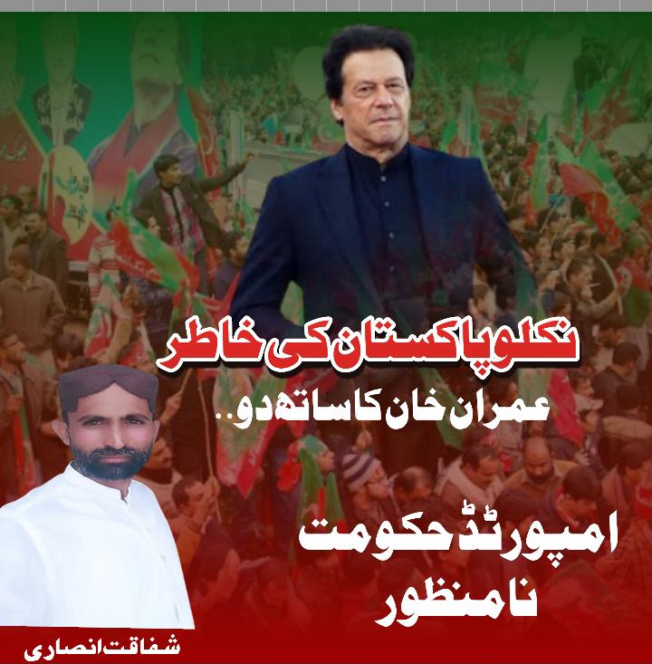 شفاقت انصاری PTI سپورٹ tweet media