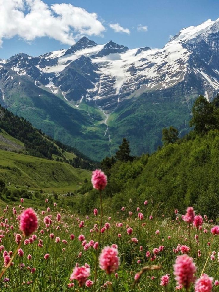 Good morning my friends happy day