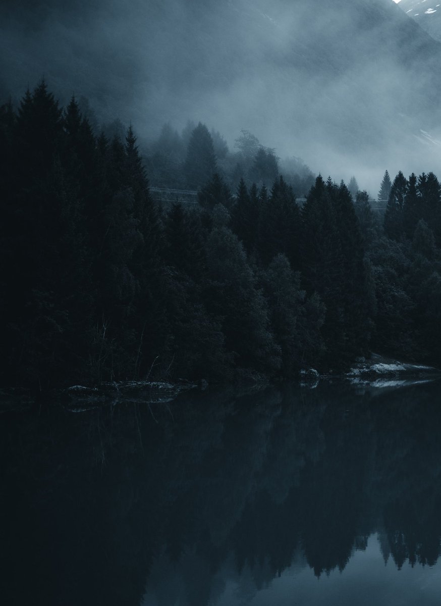 Denis Helbig tweet media