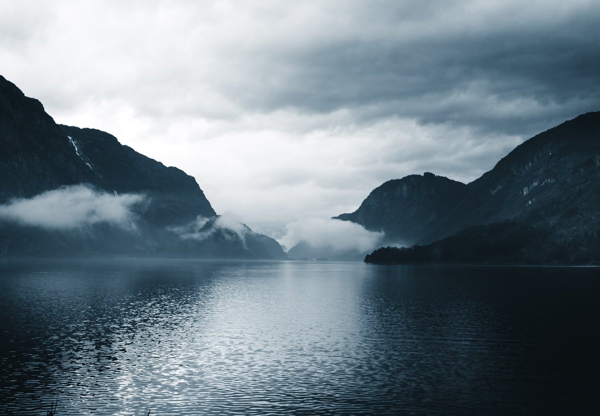 Denis Helbig tweet media