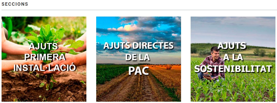 ObsForestCAT's tweet photo. Coneixeu l'#Observatori de Joves #Agricultors i #Agricultores de Catalunya?
Consulta resultats i evolució de les sol·licituds a #primera #instal·lació, ajuts a la #sostenibilitat, ajuts directes de la #pac.
👉https://t.co/CMli6NUMqP
#elplanter @ruralcat @agriculturacat https://t.co/orFZSkW0zS