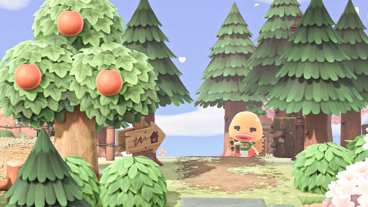 ommotii's tweet photo. 今年の桜も最高だった🌸
#あつまれどうぶつの森 #あつ森写真部 #AnimalCrossing  #ACNH https://t.co/AJD3A59G5T