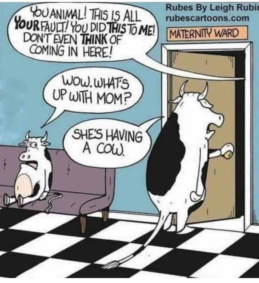 EricJSing68's tweet image. Moderately clean cartoon….