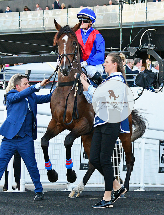 LisaGrimm9's tweet photo. Someone was eager to get out there and strut his stuff !
#ZAAKI (GB) went super in the Group 1 Queen Elizabeth Stakes for an admirable 2nd ! https://t.co/wHwNGFKfeN