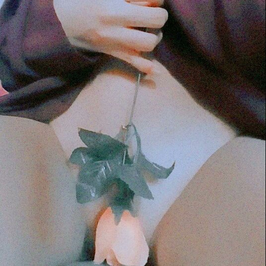cecilliahottier's tweet photo. magalit ka sa roses babe✨✨✨✨

#alterpinay https://t.co/30aqAOqrSY