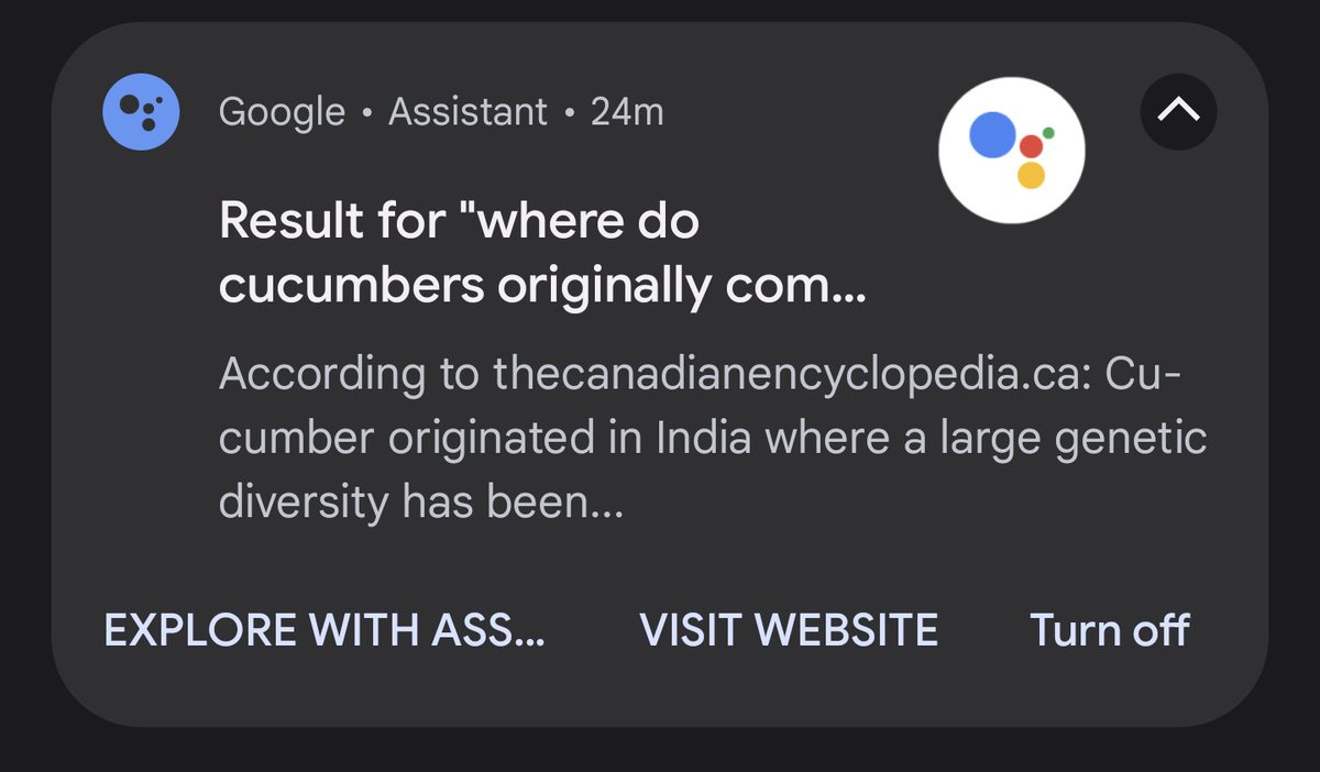 trevorkiers's tweet photo. Searching #Google and it made an interesting recommendation.

Explore with what now? https://t.co/5uc0LIpwwP