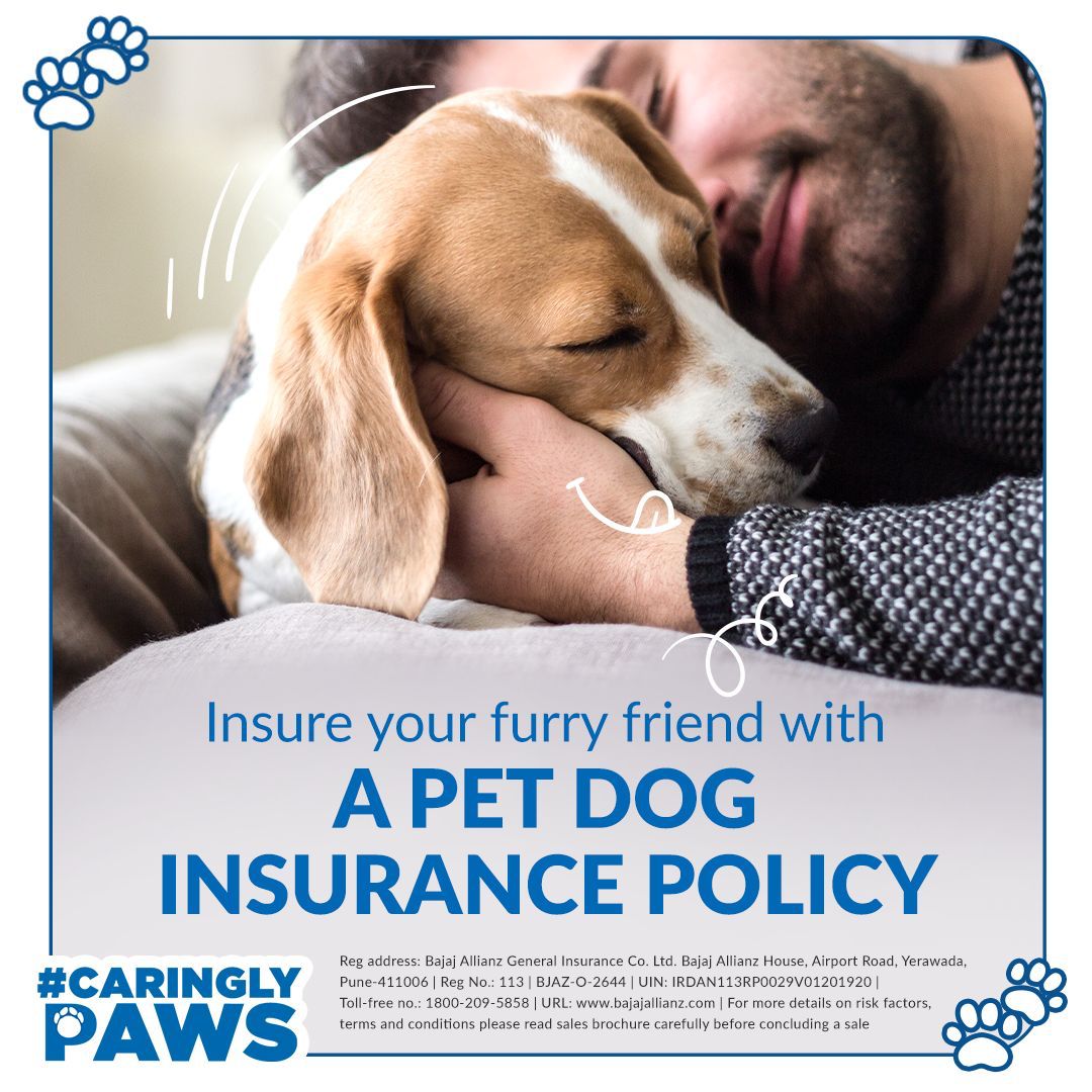 bajajgeneral's tweet photo. If you labr-adore your pets, this one is for you! 💙

This #NationalPetDay, get your dogs the extra care that they deserve! 

#CaringlyYours #YouAreSpecial #CaringlyPaws https://t.co/rciKjOC53O