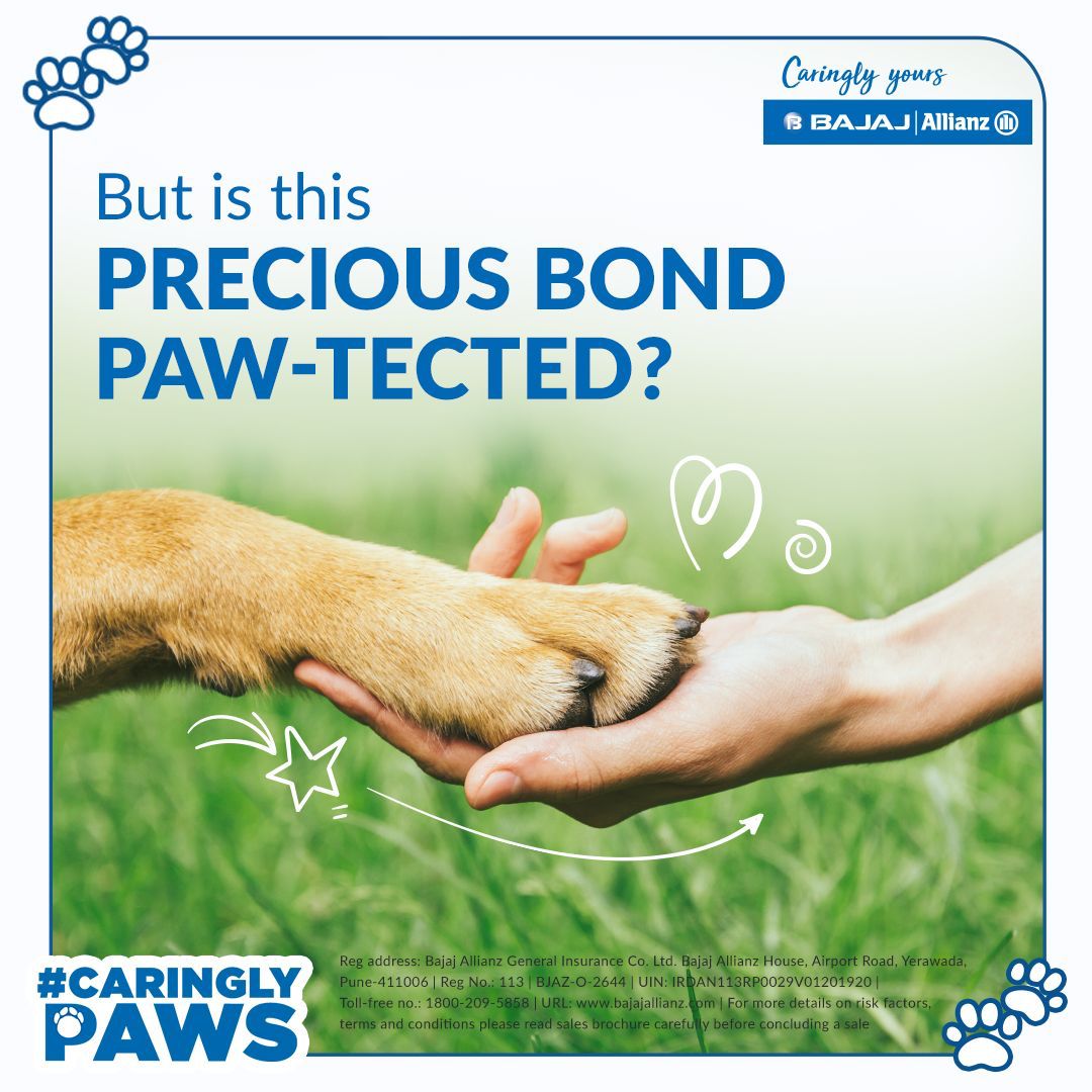 bajajgeneral's tweet photo. If you labr-adore your pets, this one is for you! 💙

This #NationalPetDay, get your dogs the extra care that they deserve! 

#CaringlyYours #YouAreSpecial #CaringlyPaws https://t.co/rciKjOC53O