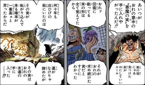 ワンピース 悪魔の実を一覧で紹介 所有者や能力 覚醒についても調査 19ページ目 Selvy