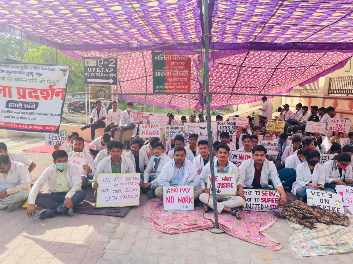 शोक नही मजबूरी हैं,
यह हड़ताल ज़रूरी हैं।
#UP_Vet_Stipend 
#DUVASU_Mathura 
#SVPUAT_Meerut 
<a href="/dharampalbjpmla/">Dharampal Singh</a> <a href="/pdevendra/">Devendra Pandey</a> <a href="/sudhirk_garg/">Sudhir Garg</a> <a href="/myogiadityanath/">Yogi Adityanath</a> <a href="/PMOIndia/">PMO India</a> <a href="/PRupala/">Parshottam Rupala</a> <a href="/drsanjeevbalyan/">Dr. Sanjeev Balyan</a> <a href="/anandibenpatel/">Anandiben Patel</a> @dmmathura7512 <a href="/ncbjp_laxmi/">Laxmi N Chaudhary</a> <a href="/ANINewsUP/">ANI UP/Uttarakhand</a> <a href="/News18UP/">News18 Uttar Pradesh</a>
