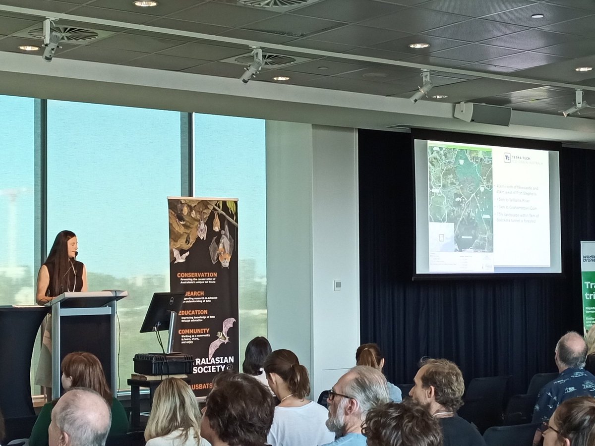 AusBats's tweet photo. Really interesting talk involving major #infrastructure remediation and bats. Using some #thermalimaging and #bioacoustics to detect diversity and activity at a major tunnel entrance. Where do bats go when excluded from roosts?   @ecoaus Thankyou Alicia Scanlon et al.! https://t.co/mNp1FZZBpX