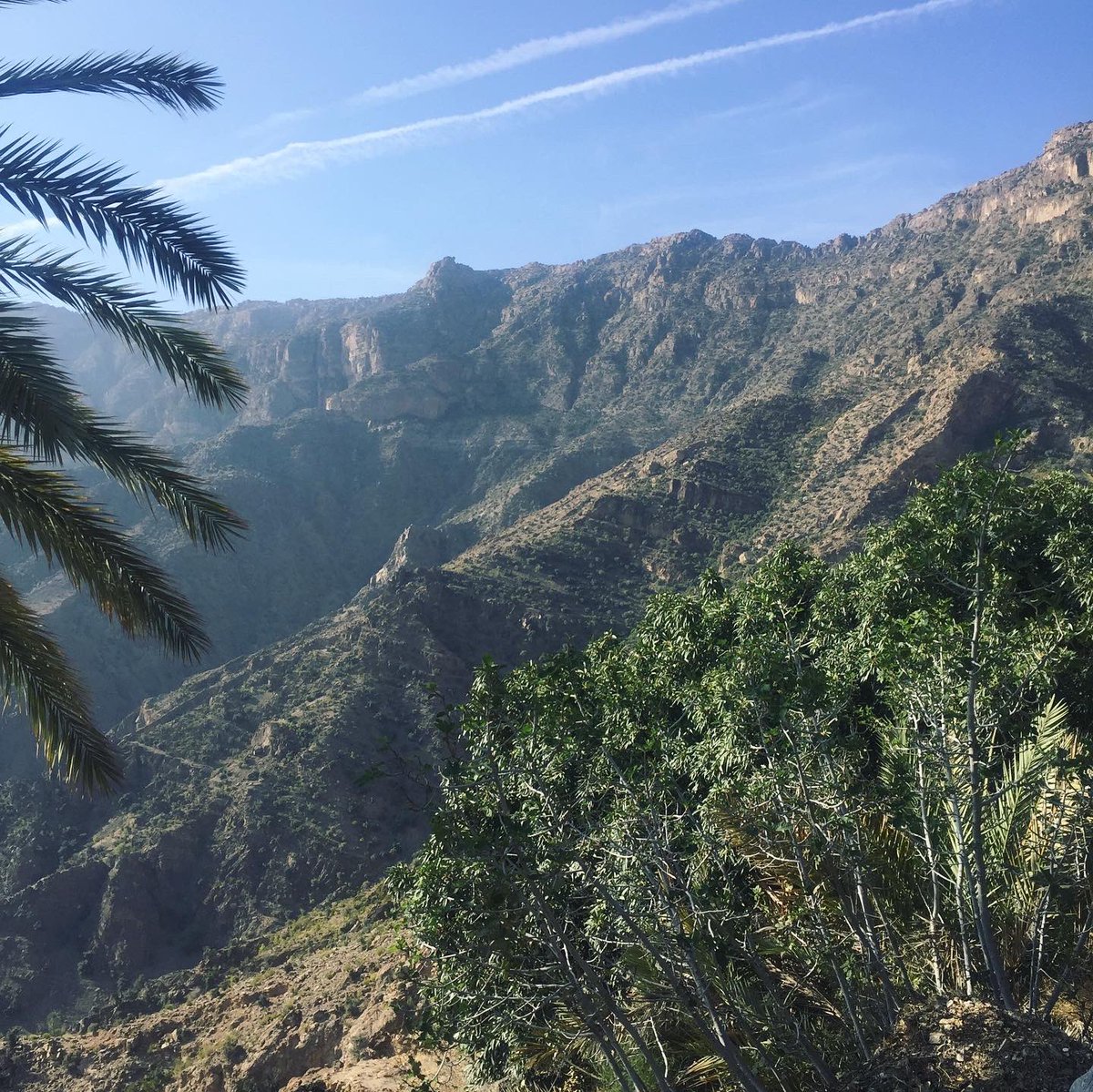 Anne_Manuel_'s tweet photo. Move to #Oman is complete ✔️ over the past few days I have started to settle into this magical and beautiful country… 
📍 #wakanvillage 
📍 #muscat https://t.co/Ygw98PK4YN