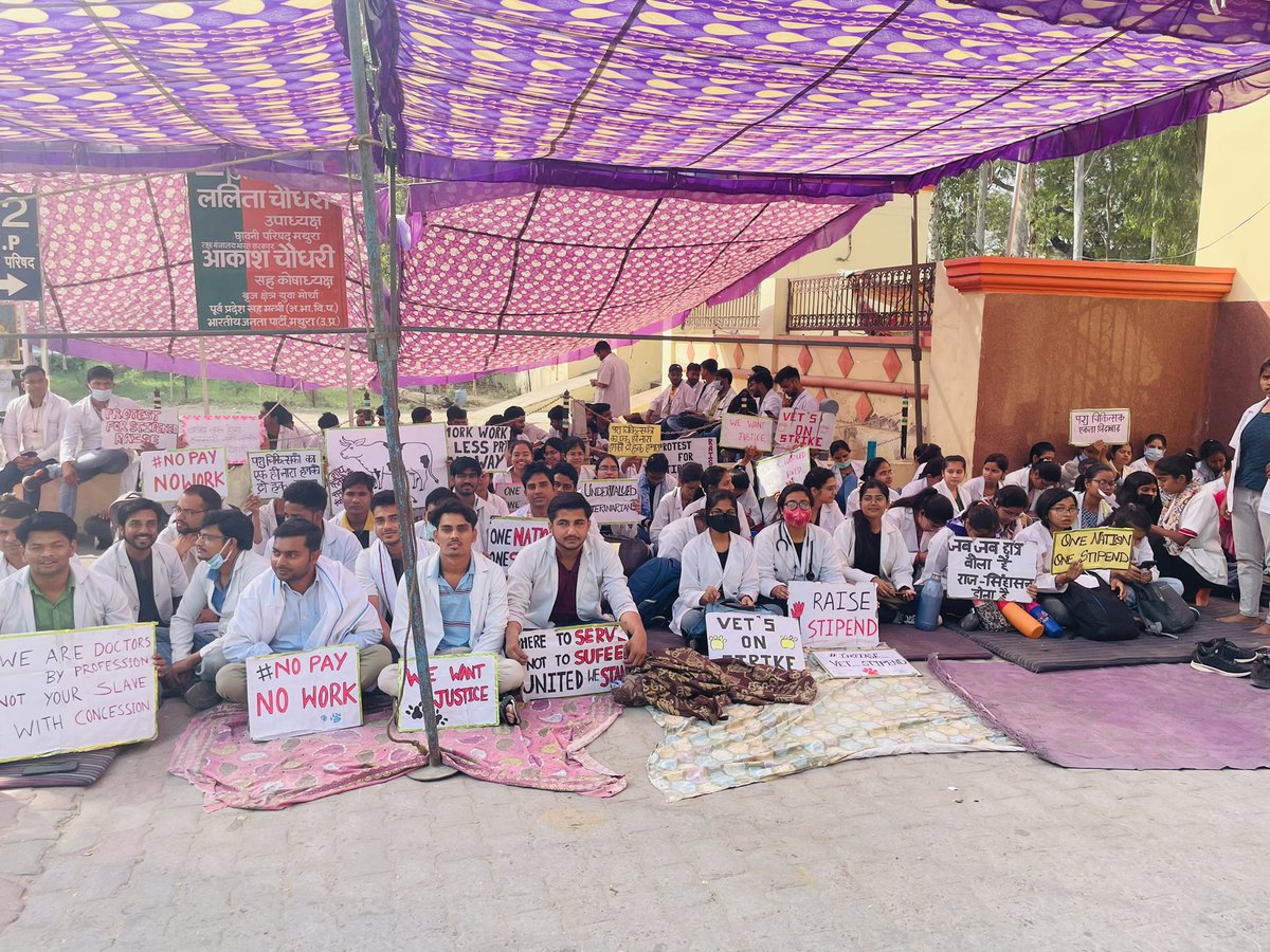 आखिर ऐसा भेदभाव क्यों ?
इंटर्न पशु चिकित्सक भत्ता भी मेडिकल इंटर्न चिकित्सक के समान होना चाहिए।
#UP_Vet_Stipend 
#DUVASU_Mathura 
#SVPUAT_Meerut 
<a href="/dharampalbjpmla/">Dharampal Singh</a> <a href="/pdevendra/">Devendra Pandey</a> <a href="/sudhirk_garg/">Sudhir Garg</a> <a href="/myogiadityanath/">Yogi Adityanath</a> <a href="/PMOIndia/">PMO India</a> <a href="/PRupala/">Parshottam Rupala</a> <a href="/drsanjeevbalyan/">Dr. Sanjeev Balyan</a> <a href="/anandibenpatel/">Anandiben Patel</a> <a href="/ANINewsUP/">ANI UP/Uttarakhand</a> <a href="/News18UP/">News18 Uttar Pradesh</a>