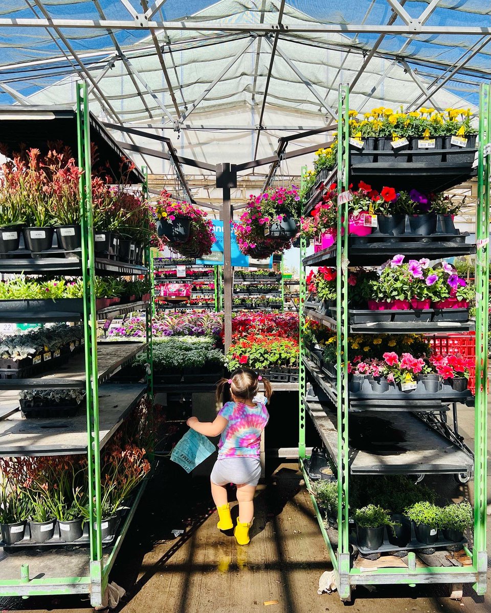 took this precious girl flower shopping